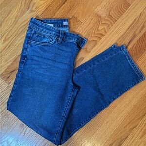 Joe's Jeans Indigo Blue Denim